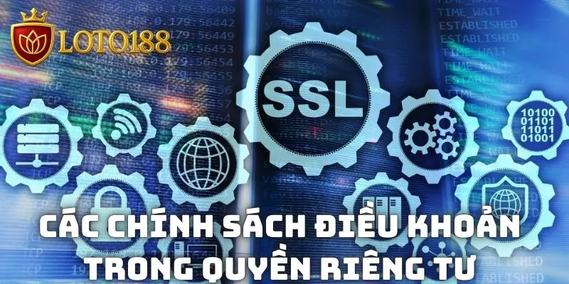 Các chính sách điều khoản trong quyền riêng tư được nêu ra chặt chẽ
