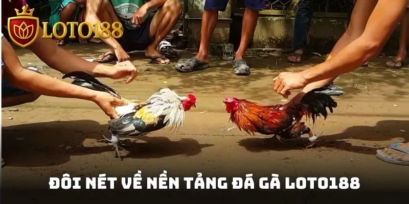 Đôi nét về nền tảng đá gà Loto188 được nhiều người chọn theo dõi